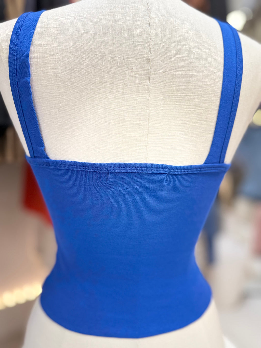 Rona Crop Top (Blue or Brown)