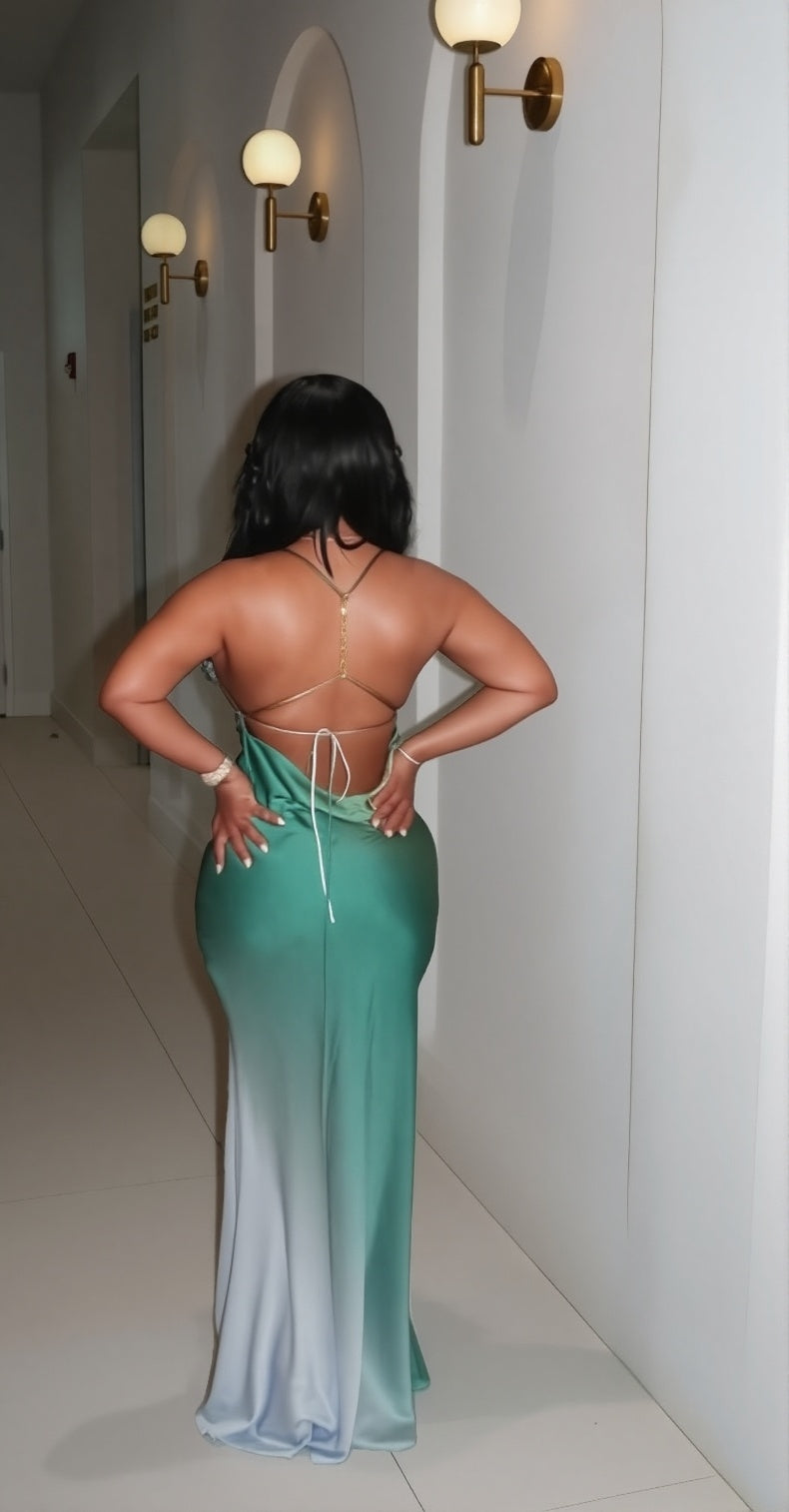 Ombré Muse Maxi Dress