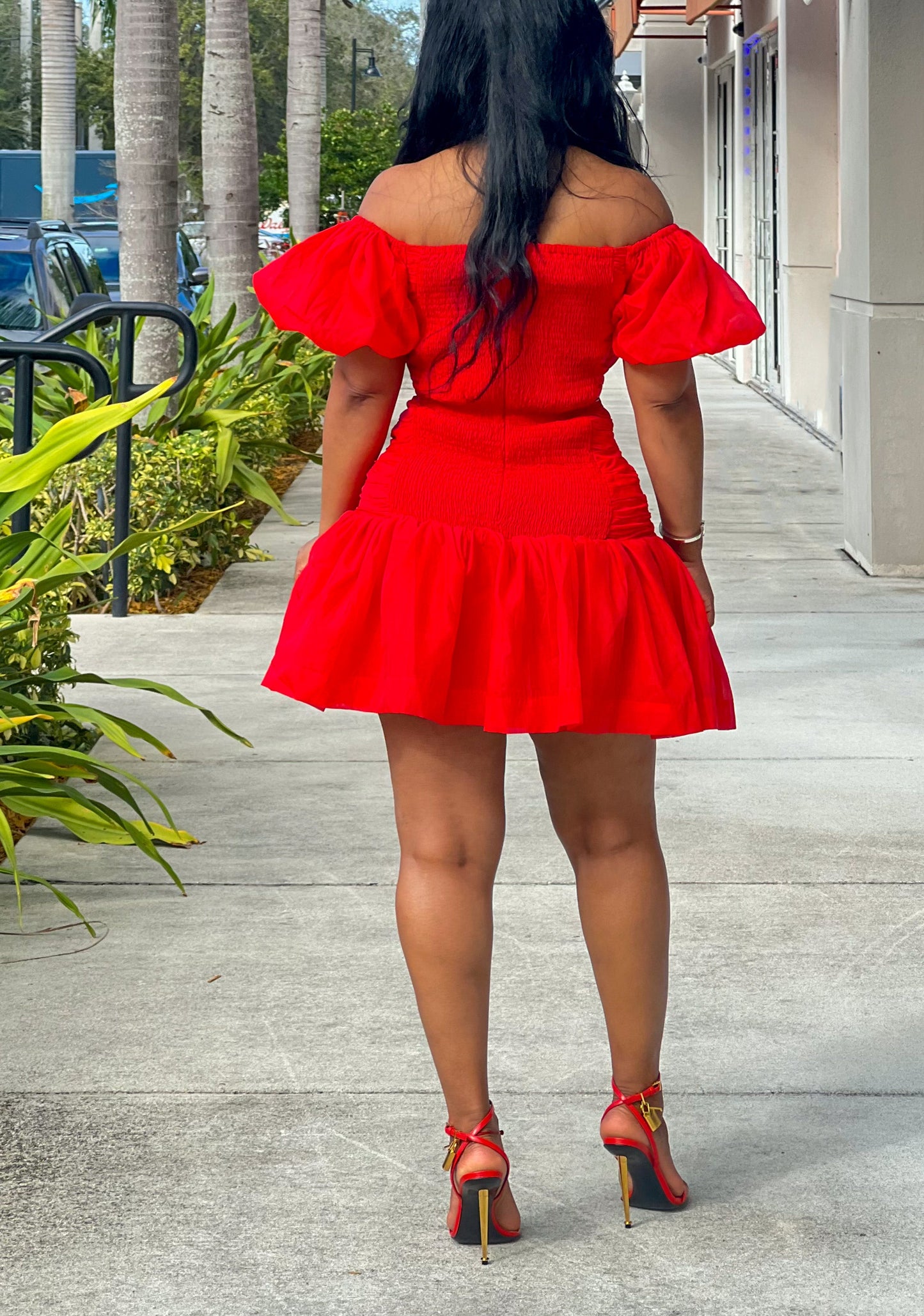 Rosy Mini Dress (Red)